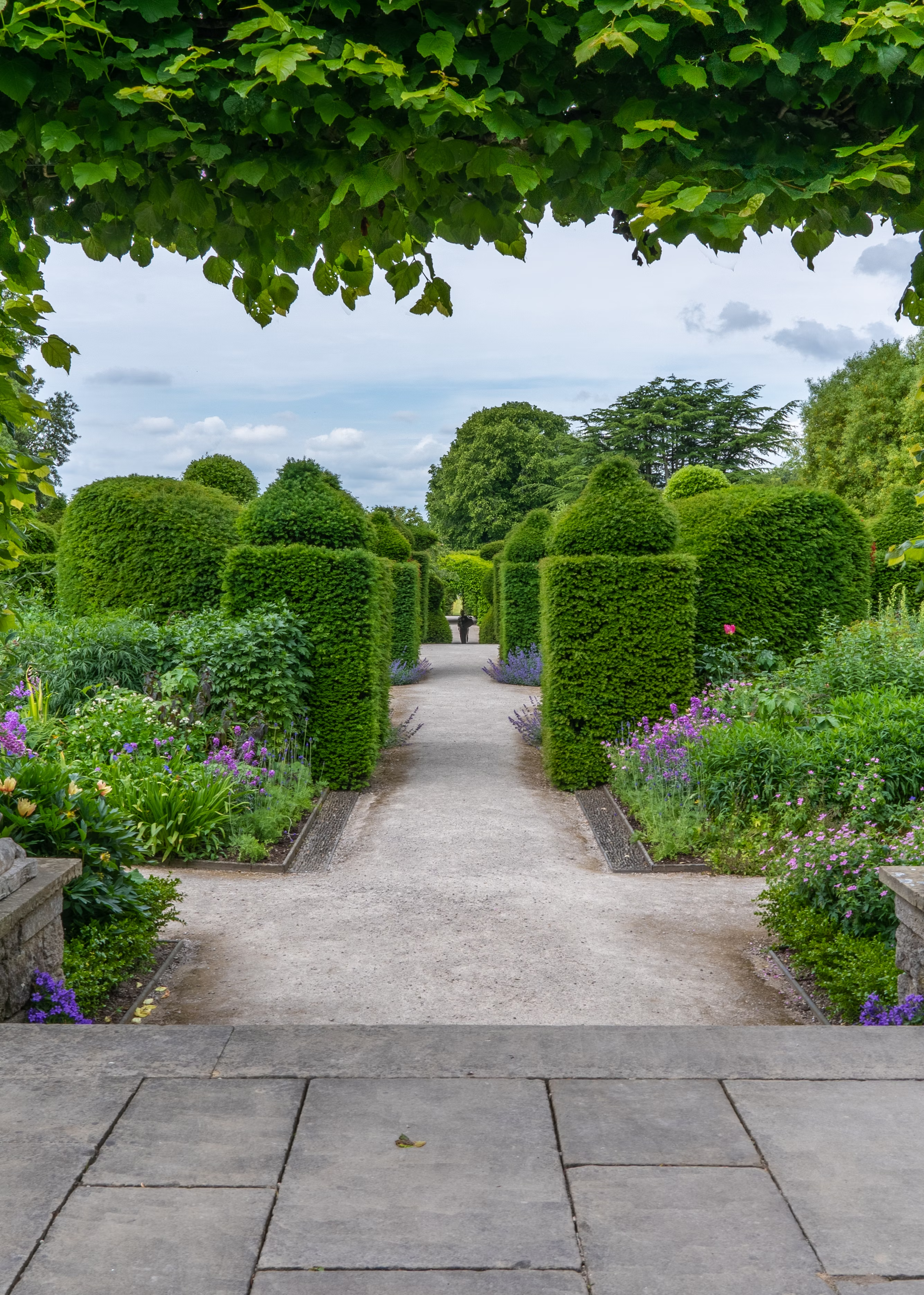 pool in green garden